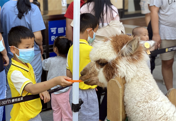 GA�ƽ�׹���-׷�󿵽�,����һ������