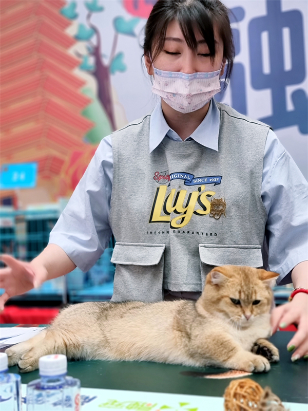 GA�ƽ�׹���-׷�󿵽�,����һ������