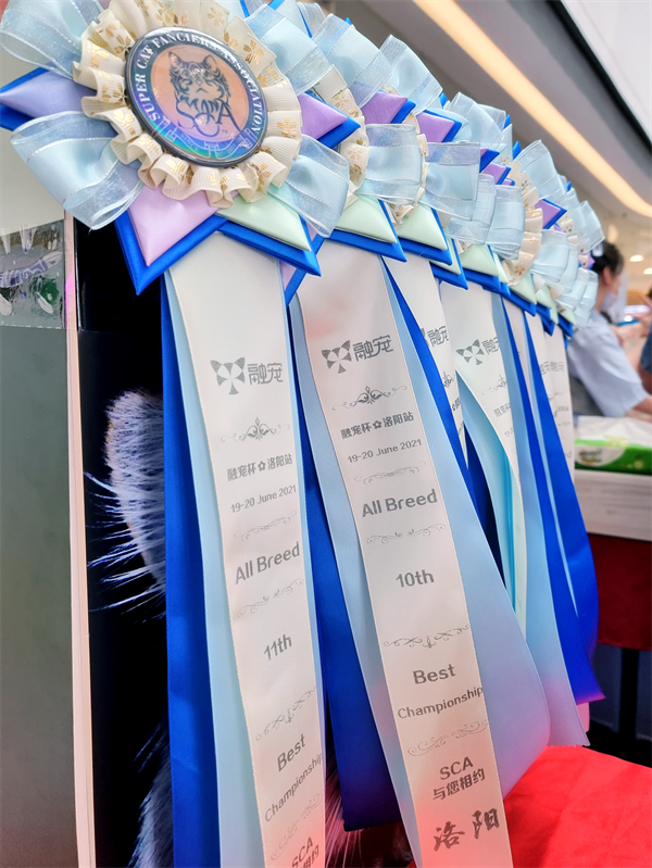 GA�ƽ�׹���-׷�󿵽�,����һ������