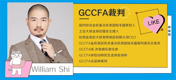 GA�ƽ�׹���-׷�󿵽�,����һ������