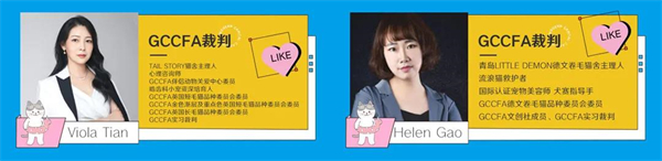 GA�ƽ�׹���-׷�󿵽�,����һ������