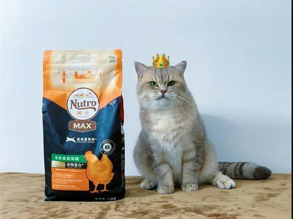 GA�ƽ�׹���-׷�󿵽�,����һ������