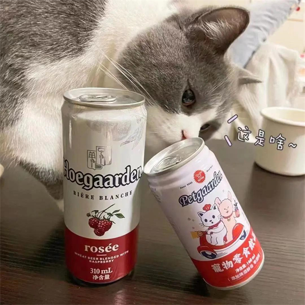 GA�ƽ�׹���-׷�󿵽�,����һ������