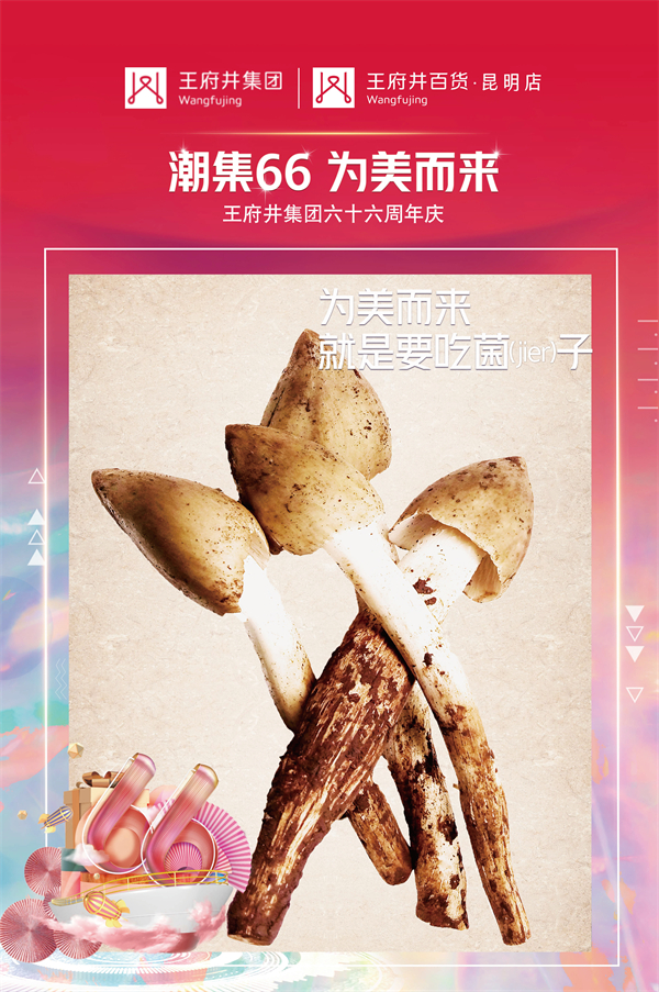 GA�ƽ�׹���-׷�󿵽�,����һ������