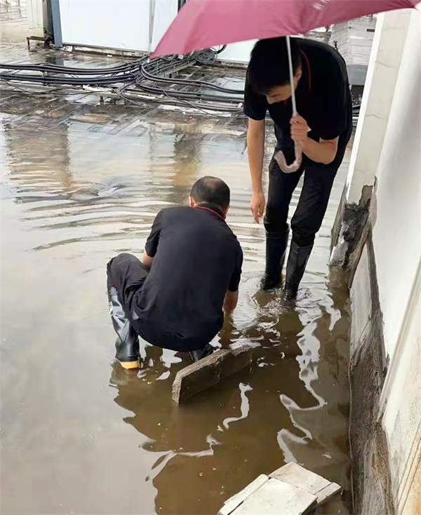 GA�ƽ�׹���-׷�󿵽�,����һ������